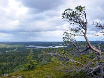 suomen pituus